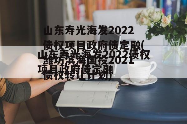 山东寿光海发2022债权项目政府债定融(潍坊滨海国投2021债权转让计划)