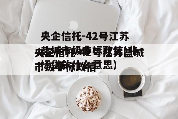 央企信托-42号江苏盐城市级非标政信(非标贷款什么意思)