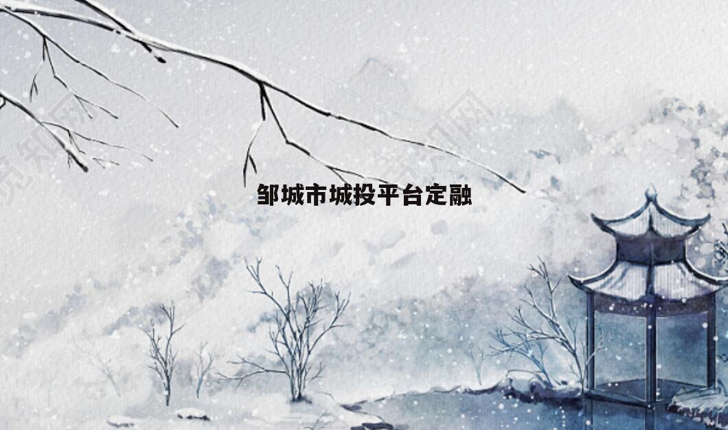 邹城市城投平台定融