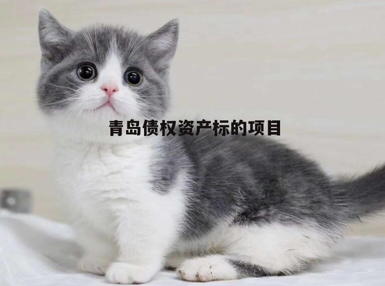 青岛债权资产标的项目