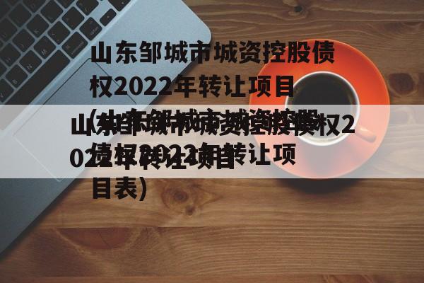山东邹城市城资控股债权2022年转让项目(山东邹城市城资控股债权2022年转让项目表)