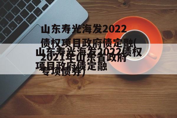 山东寿光海发2022债权项目政府债定融(2021年山东省政府专项债券)
