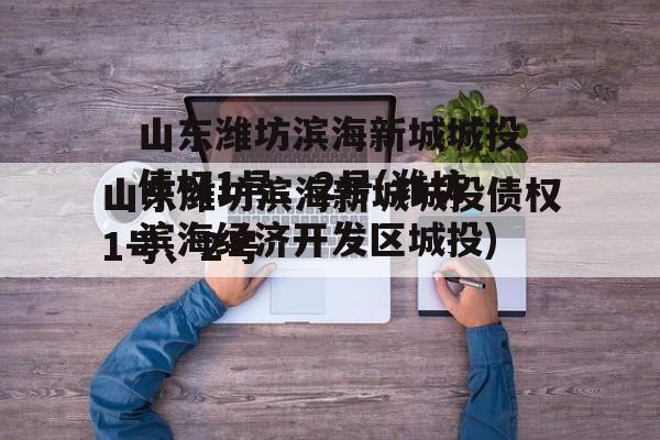 山东潍坊滨海新城城投债权1号、2号(潍坊滨海经济开发区城投)