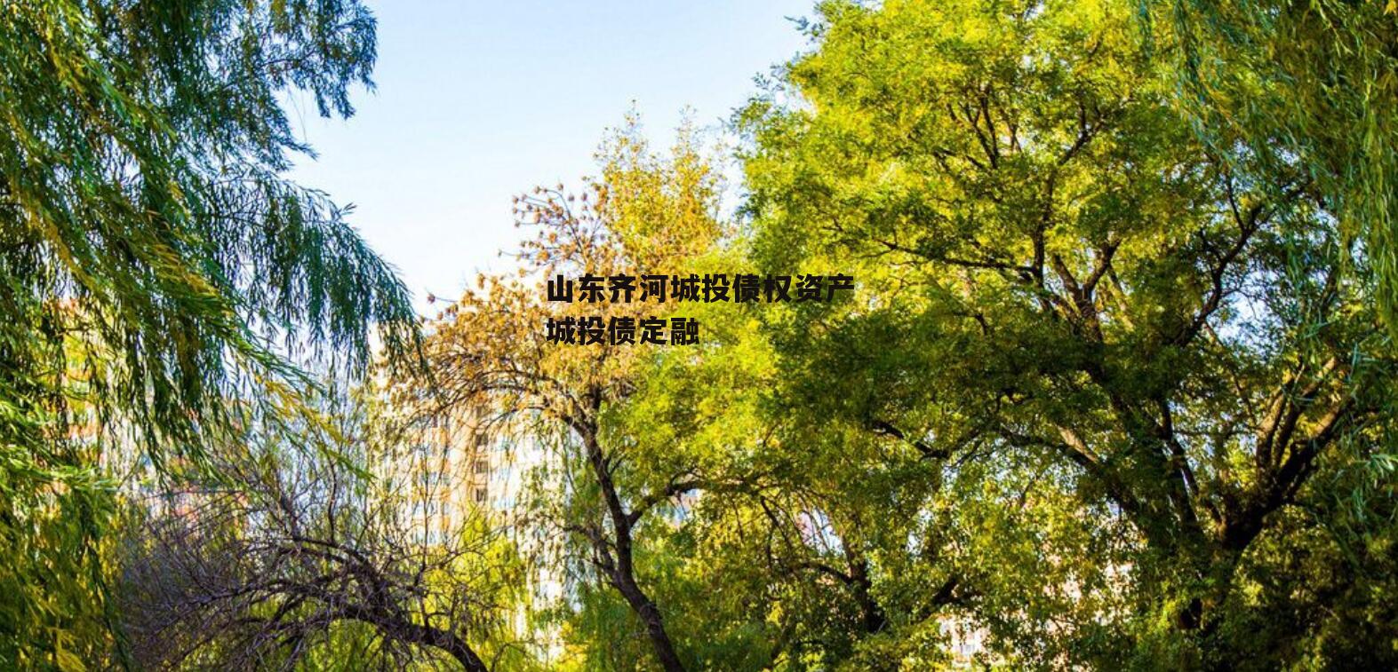 山东齐河城投债权资产城投债定融