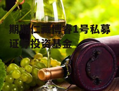 期期仁藏博睿1号私募证券投资基金