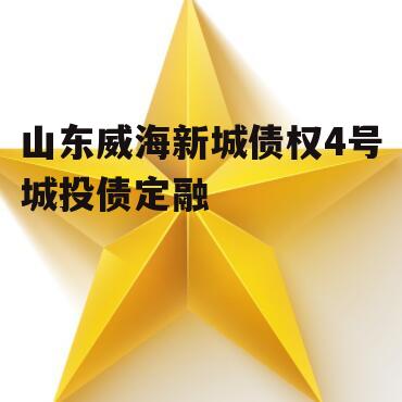 山东威海新城债权4号城投债定融