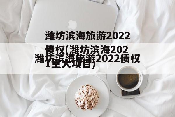 潍坊滨海旅游2022债权(潍坊滨海2021重大项目)