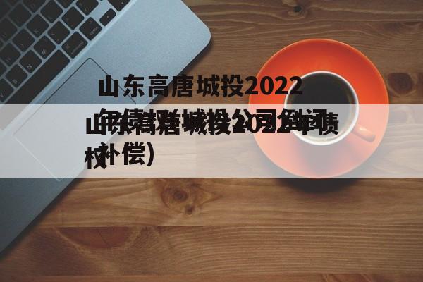 山东高唐城投2022年债权(城投公司倒闭补偿)