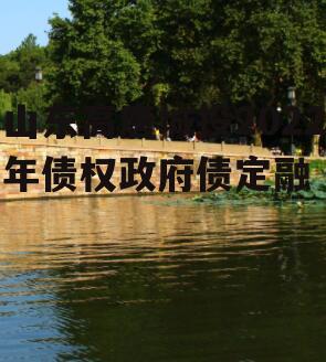 山东高唐城投2022年债权政府债定融
