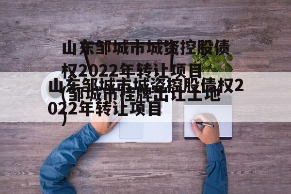 山东邹城市城资控股债权2022年转让项目(邹城市挂牌出让土地)
