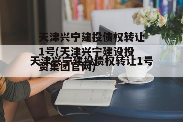 天津兴宁建投债权转让1号(天津兴宁建设投资集团官网)
