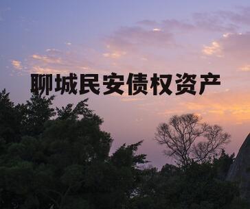 聊城民安债权资产