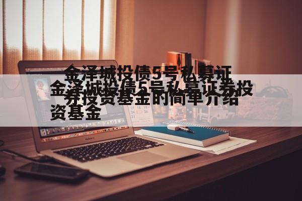 金泽城投债5号私募证券投资基金的简单介绍