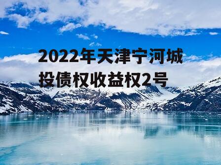 2022年天津宁河城投债权收益权2号