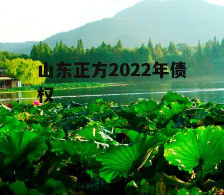 山东正方2022年债权
