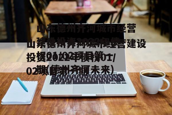 山东德州齐河城市经营建设投资2022年债权01/02项目第一期(德州齐河未来)