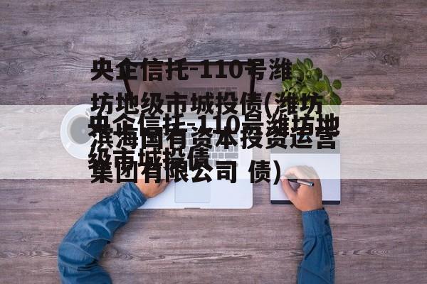 央企信托-110号潍坊地级市城投债(潍坊滨海国有资本投资运营集团有限公司 债)