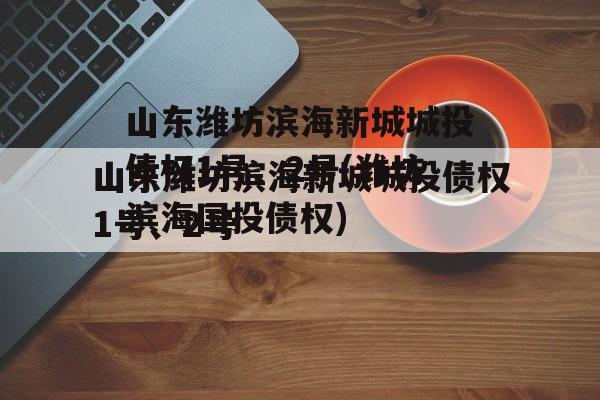 山东潍坊滨海新城城投债权1号、2号(潍坊滨海国投债权)