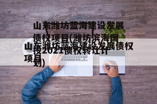 山东潍坊蓝海建设发展债权项目(潍坊滨海国投2021债权转让计划)