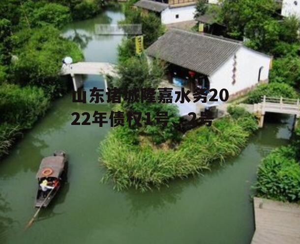 山东诸城隆嘉水务2022年债权1号、2号