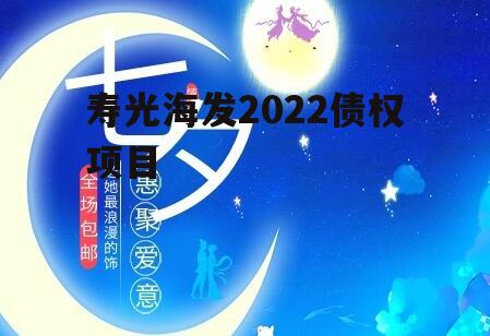 寿光海发2022债权项目