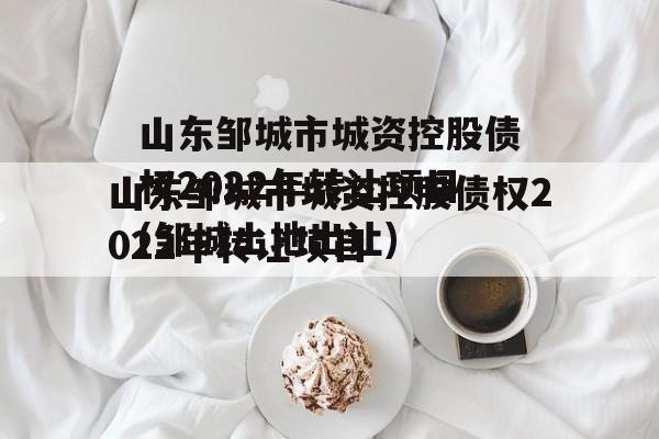 山东邹城市城资控股债权2022年转让项目(邹城土地出让)