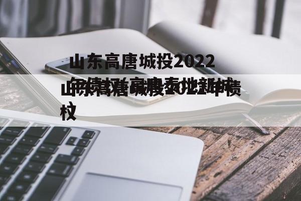 山东高唐城投2022年债权(高唐泰地新城)