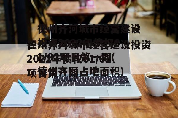 德州齐河城市经营建设投资2022年债权01/02项目第一期(德州齐河占地面积)