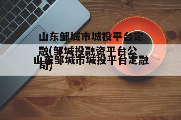 山东邹城市城投平台定融(邹城投融资平台公司)