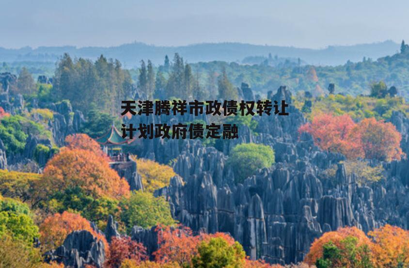 天津腾祥市政债权转让计划政府债定融