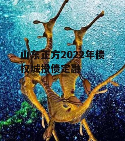 山东正方2022年债权城投债定融