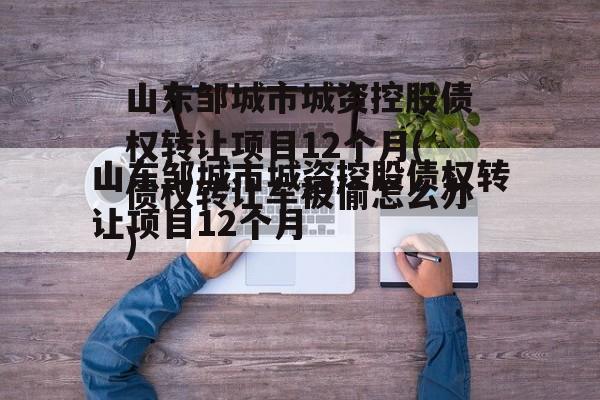 山东邹城市城资控股债权转让项目12个月(债权转让车被偷怎么办)
