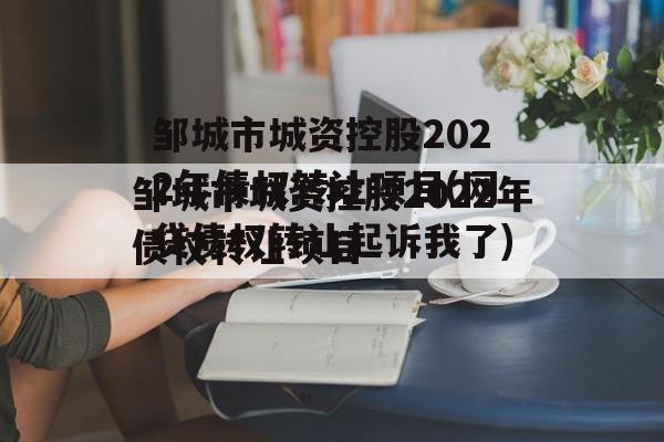 邹城市城资控股2022年债权转让项目(网贷债权转让起诉我了)