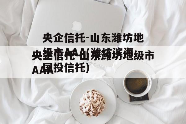 央企信托-山东潍坊地级市AAA(潍坊滨海国投信托)