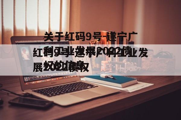 关于红码9号-遂宁广利工业发展2022债权的信息