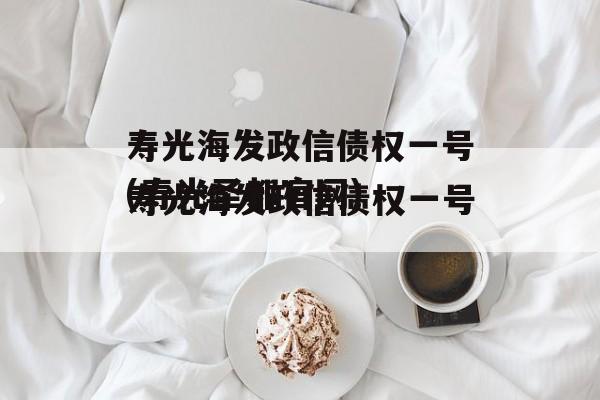 寿光海发政信债权一号(寿光圣都官网)