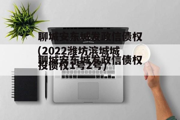 聊城安东城发政信债权(2022潍坊滨城城投债权1号2号)
