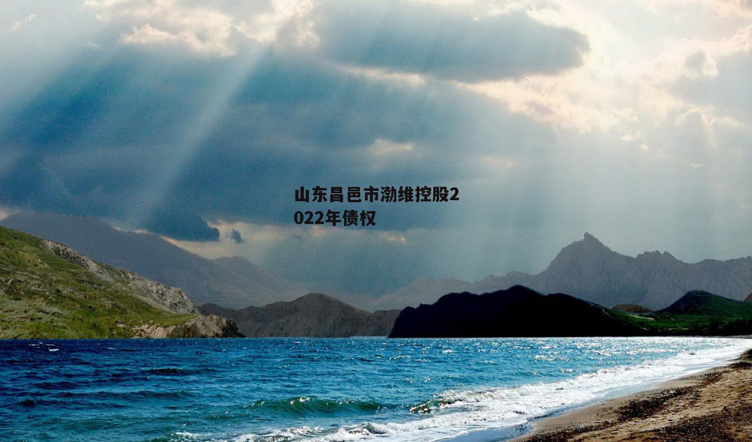 山东昌邑市渤维控股2022年债权