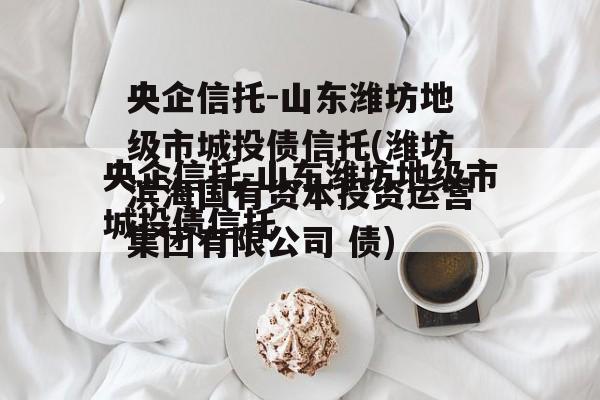 央企信托-山东潍坊地级市城投债信托(潍坊滨海国有资本投资运营集团有限公司 债)
