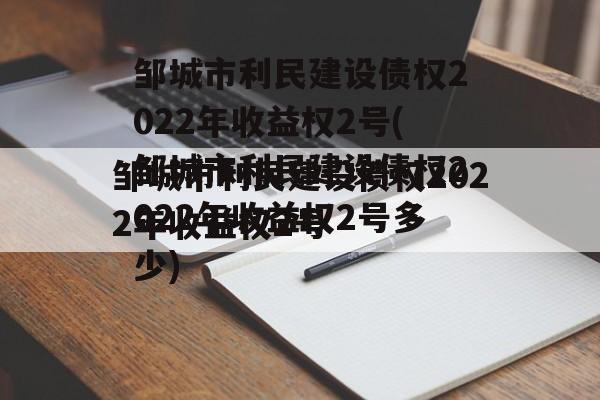 邹城市利民建设债权2022年收益权2号(邹城市利民建设债权2022年收益权2号多少)