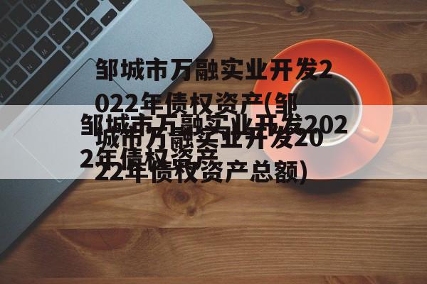 邹城市万融实业开发2022年债权资产(邹城市万融实业开发2022年债权资产总额)