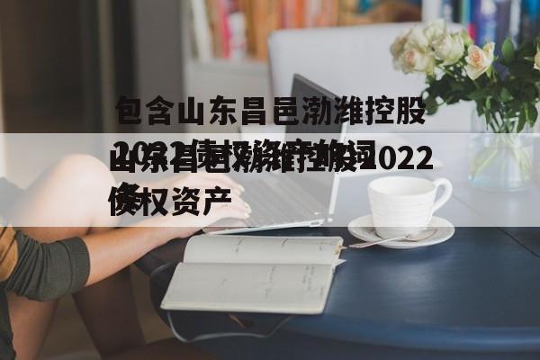 包含山东昌邑渤潍控股2022债权资产的词条