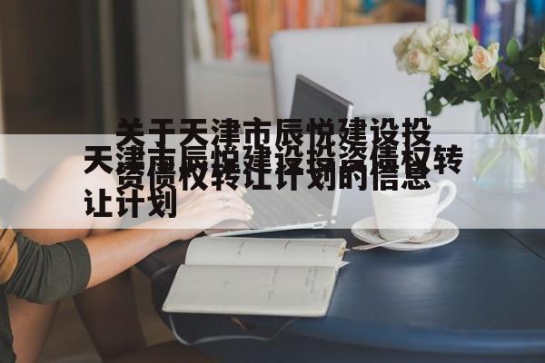关于天津市辰悦建设投资债权转让计划的信息