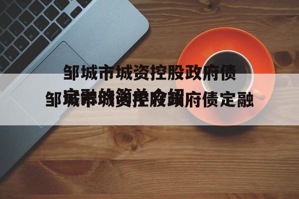 邹城市城资控股政府债定融的简单介绍
