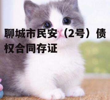 聊城市民安（2号）债权合同存证