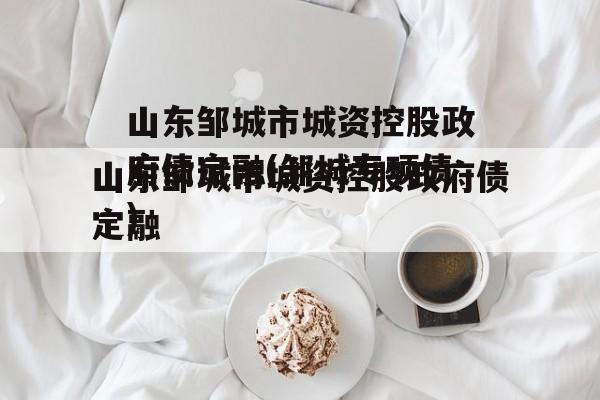山东邹城市城资控股政府债定融(邹城专项债)