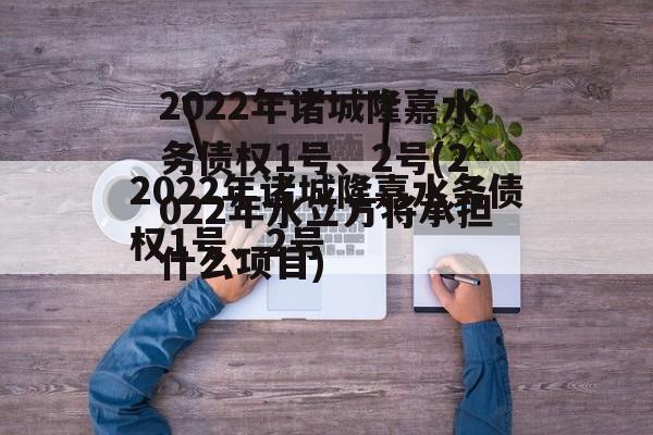 2022年诸城隆嘉水务债权1号、2号(2022年水立方将承担什么项目)