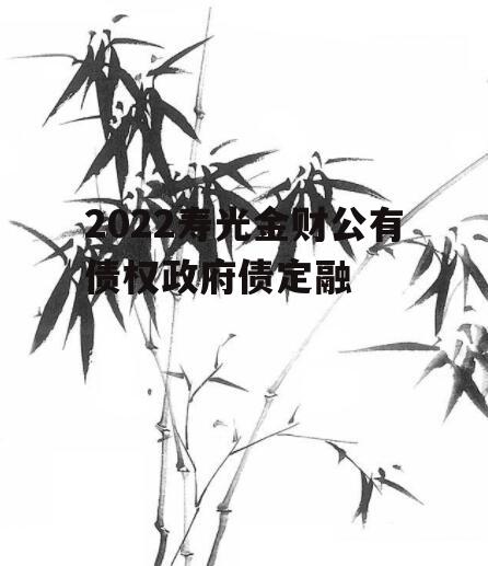 2022寿光金财公有债权政府债定融
