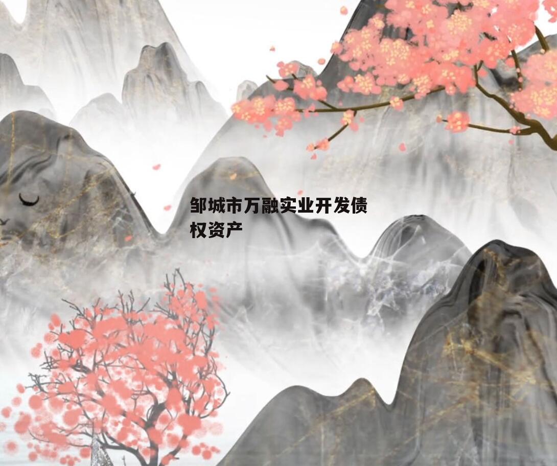 邹城市万融实业开发债权资产
