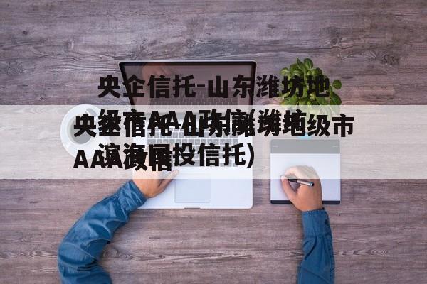 央企信托-山东潍坊地级市AAA政信(潍坊滨海国投信托)